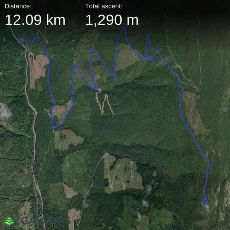a map of the Buchanan Lookout tower motorcycle route