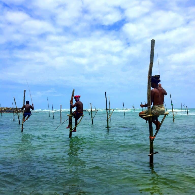 Sri Lanka Stilt Fishermen