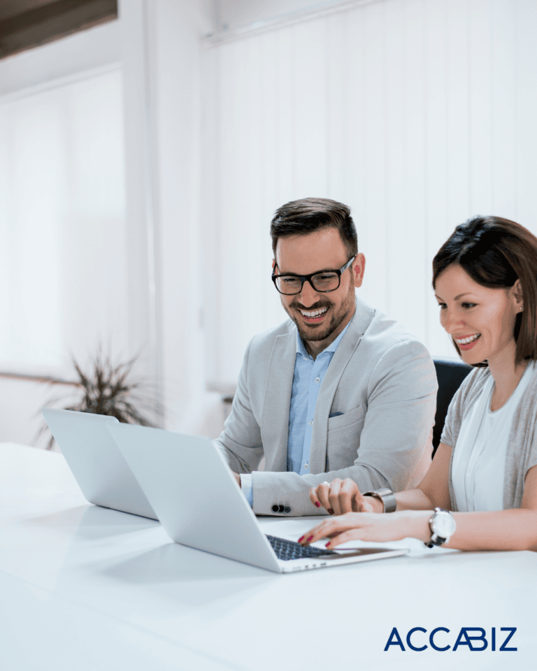 déclaration de revenus professionnels