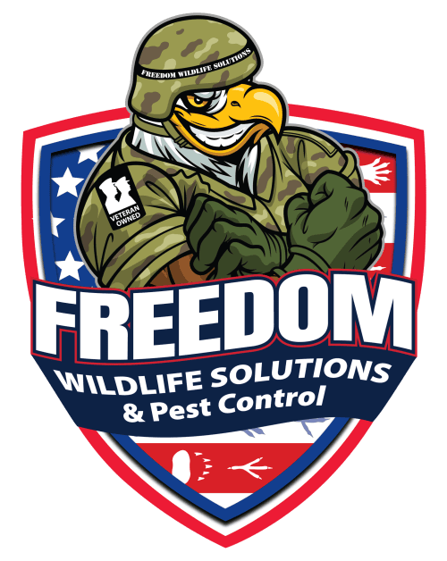 Freedom Wildlife Solutions & Pest Control servicing the greater Raleigh area