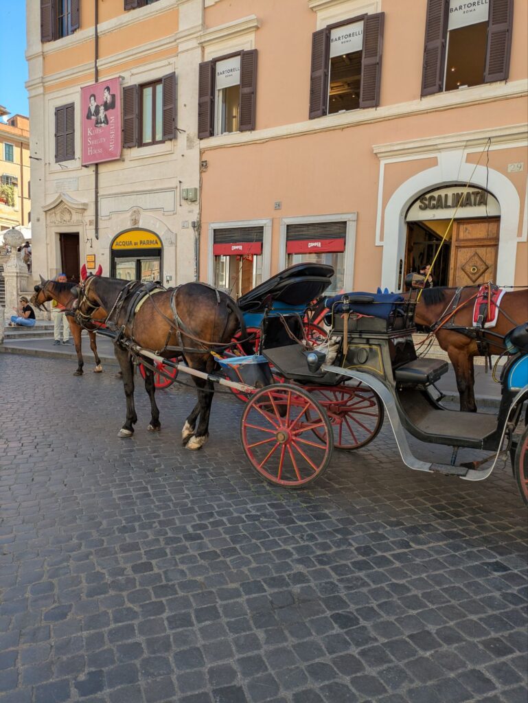 イタリア女一人旅/HISツアー/ローマ市内観光