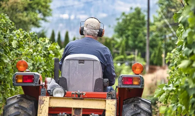 BC Wine Country 2024 Year in Review