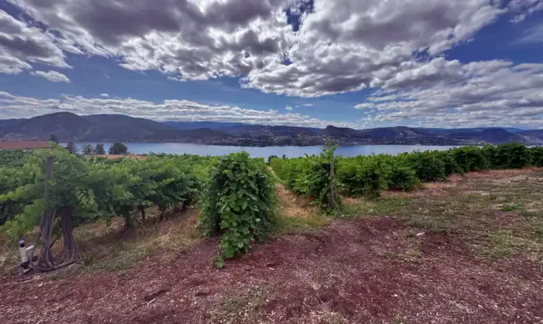 BC Wine Country 2025 Year in Review