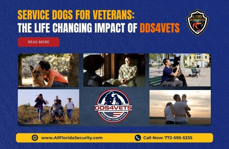 Service Dogs for Veterans: The Life-Changing Impact of DDS4VETS