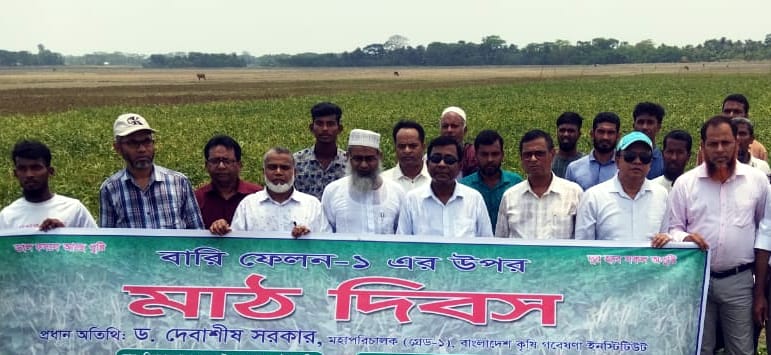 কলাপাড়ায় কৃষি গবেষণা ইনস্টিটিউট’র সহযোগীতায় মাঠ দিবস অনুষ্ঠিত