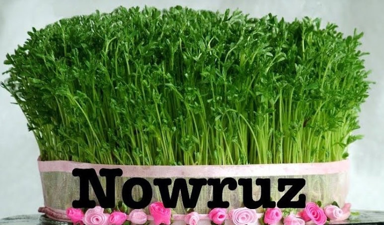 DOMANI IL NOWRUZ IL CAPODANNO PERSIANO. ROSA DI HAFEZ