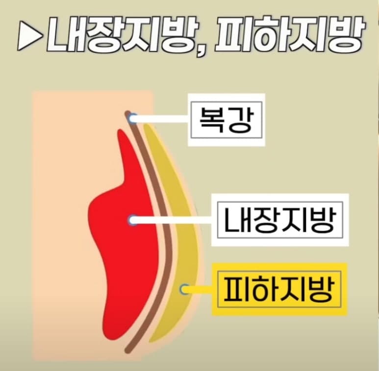 경기 광주 다이어트 필라테스
