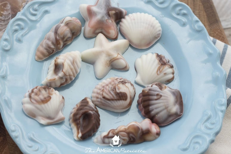  candy seashells