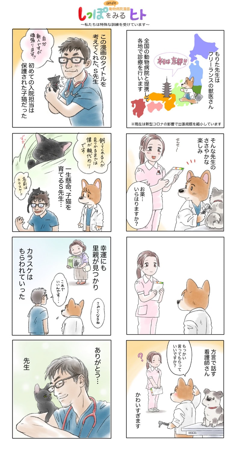 動物病院の四コマ漫画