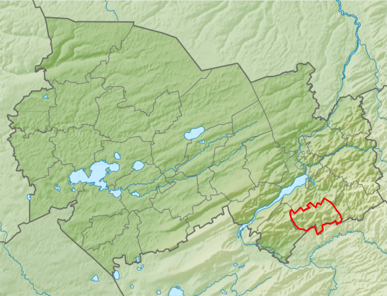 Черепановский район