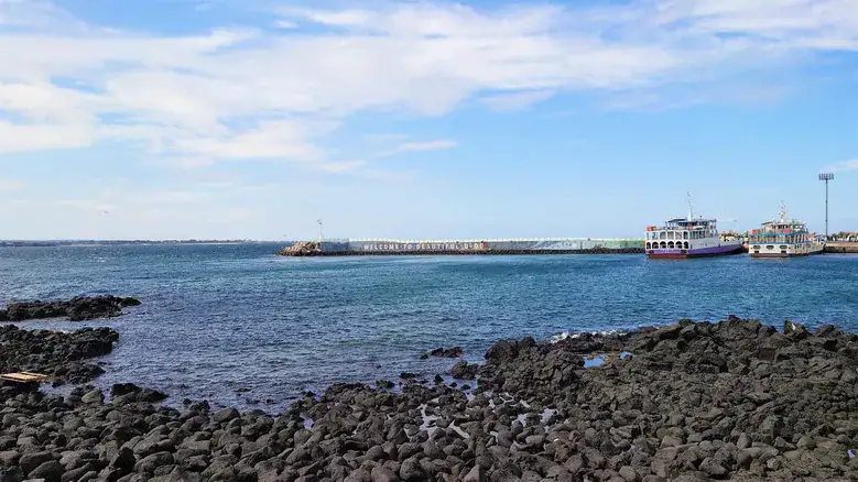 濟州牛島
