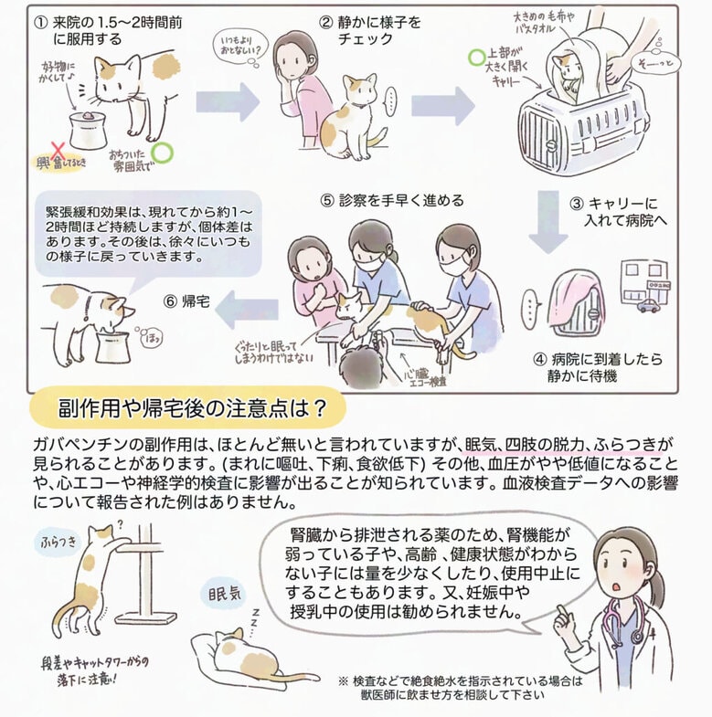 猫のためのガバペンチンの使用量と副作用の解説