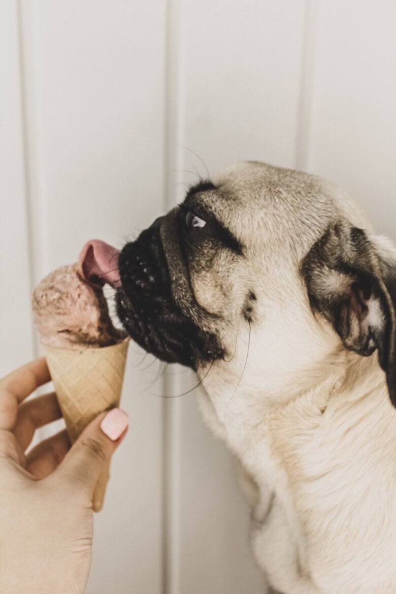 Dog Ice Cream Recipe