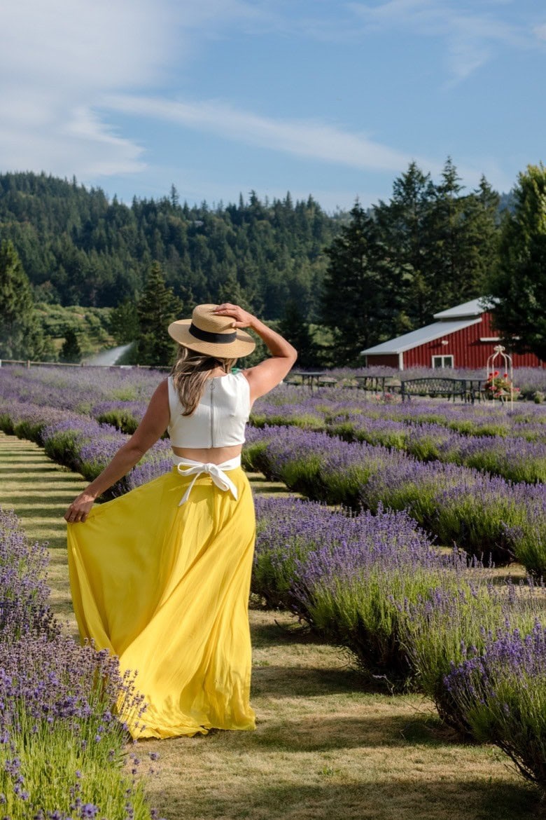 Lavender farms in Oregon