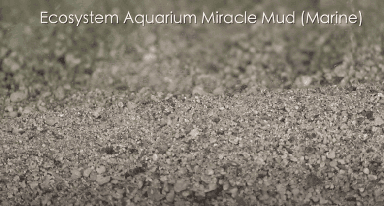 Should You Use Sand In A Refugium? Pros And Cons 2