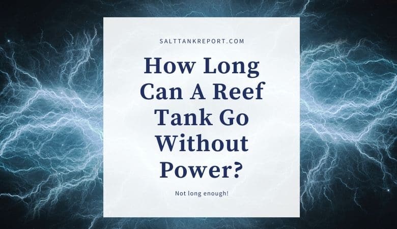 how long can a reef tank go without power