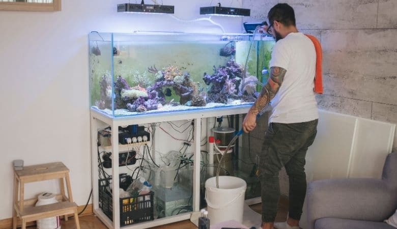 Aquarium water changes