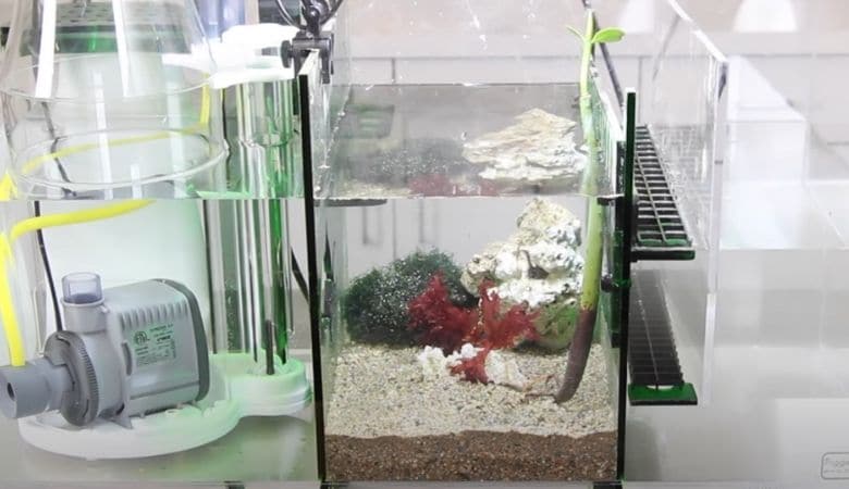 Aquarium refugium