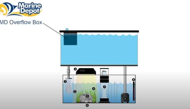 What Size Overflow Box Do I Need? *Easy Way To Decide* 2