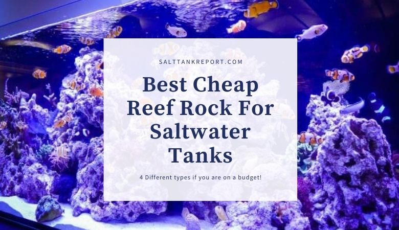 cheap reef rock saltwater tanks