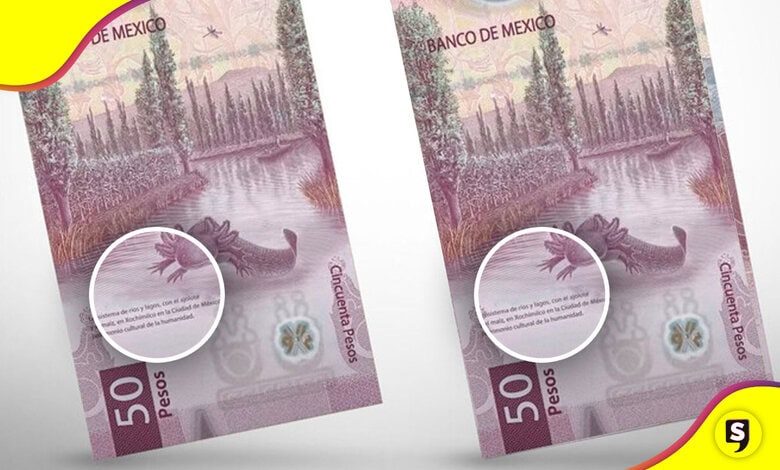 billete de ajolote falso