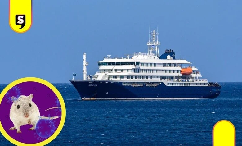 hantavirus crucero