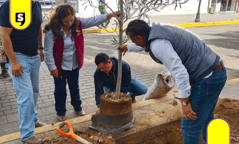Tulancingo apuesta por la reforestación urbana inteligente