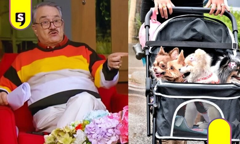 Pedro Sola violencia perritos