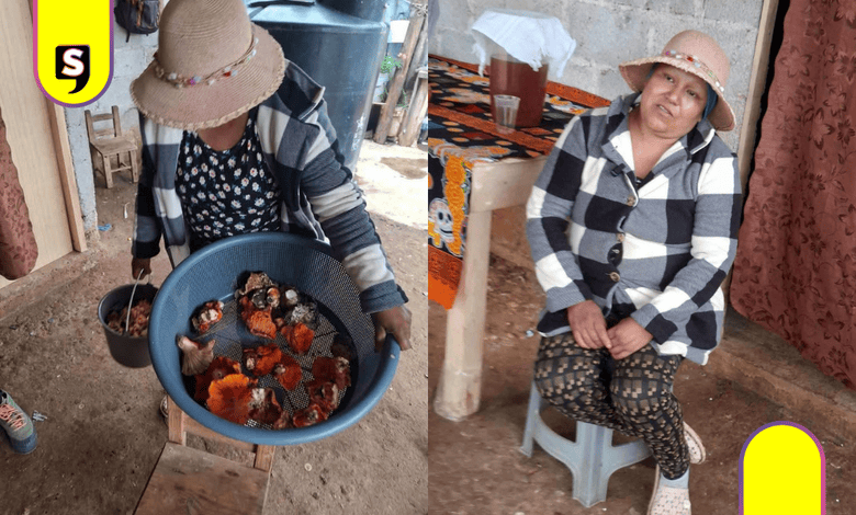 Comunidad de Acaxochitlán pide apoyo para nanakatera