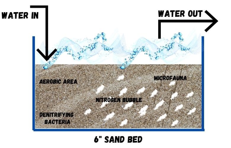 sand in a saltwater refugium