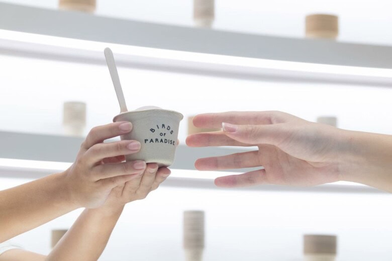 Birds Of Paradise Gelato Boutique