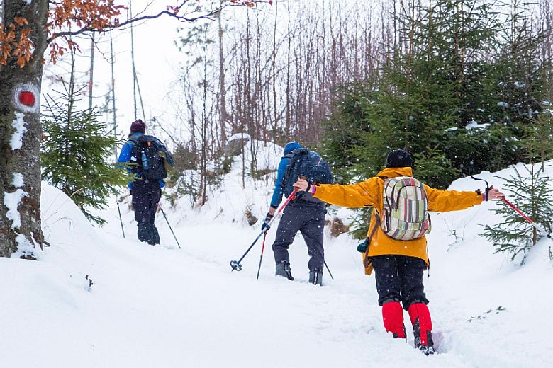 Három túrázó túrabotokkal halad mély hóban a téli erdőben