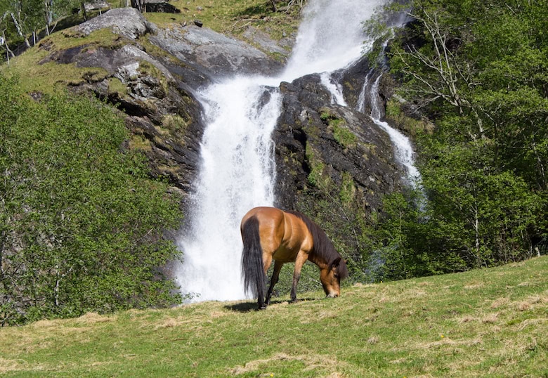 The Flam Railway in Norway and cycling trip down