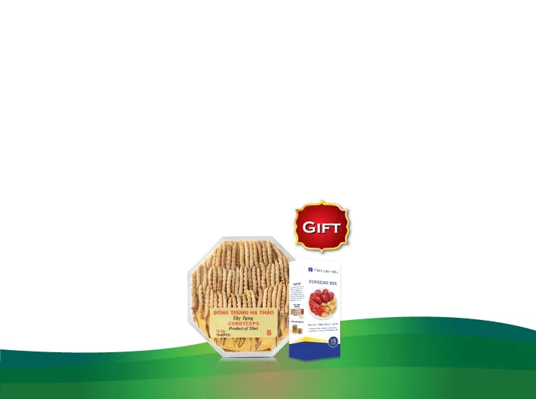 Ten Lei Yen Cordyceps. Gift: Supreme mix