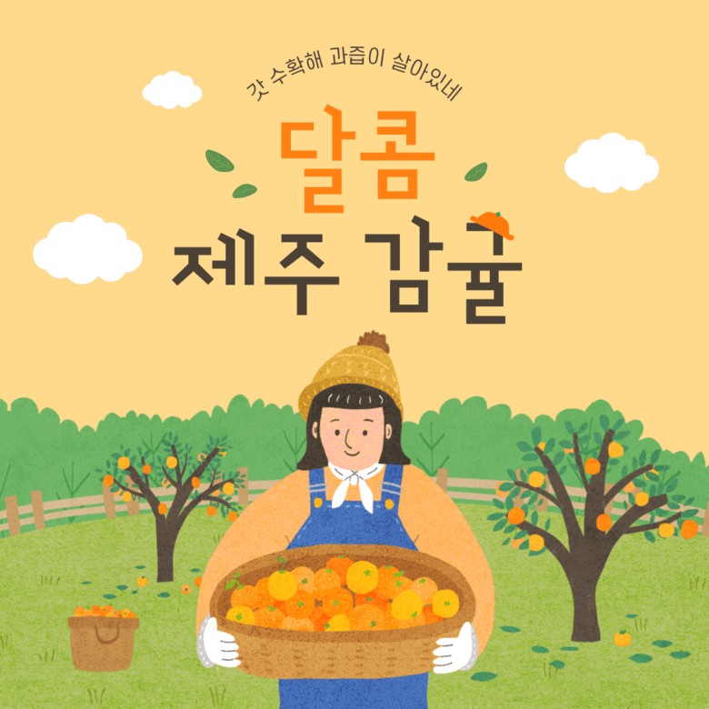비밀특가한정