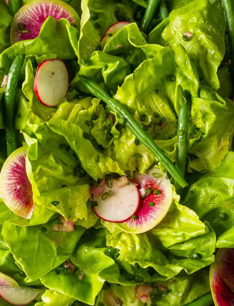 butter lettuce salad with dressing