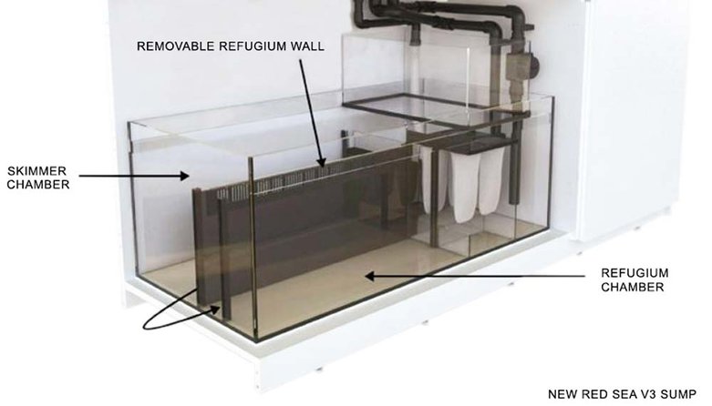 Are Red Sea Aquariums Worth It You Will Be Surprised Salt Tank Report Are Red Sea Aquariums Worth It You Will Be Surprised Salt Tank Report