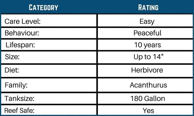 orange shoulder tang care chart