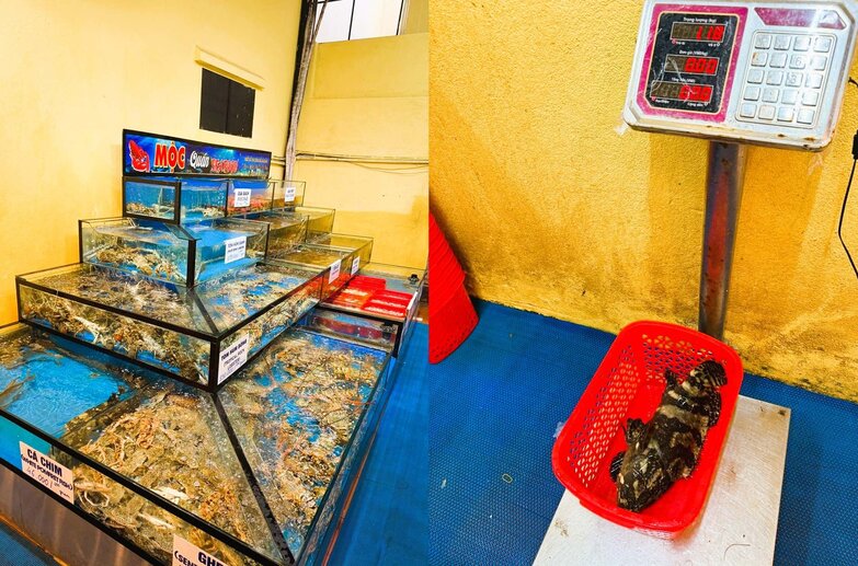 나트랑 목 해산물 식당 내부의 활어 수조와 생선 무게 측정. 나트랑 현지 해산물 식당의 신선도 확인 가능