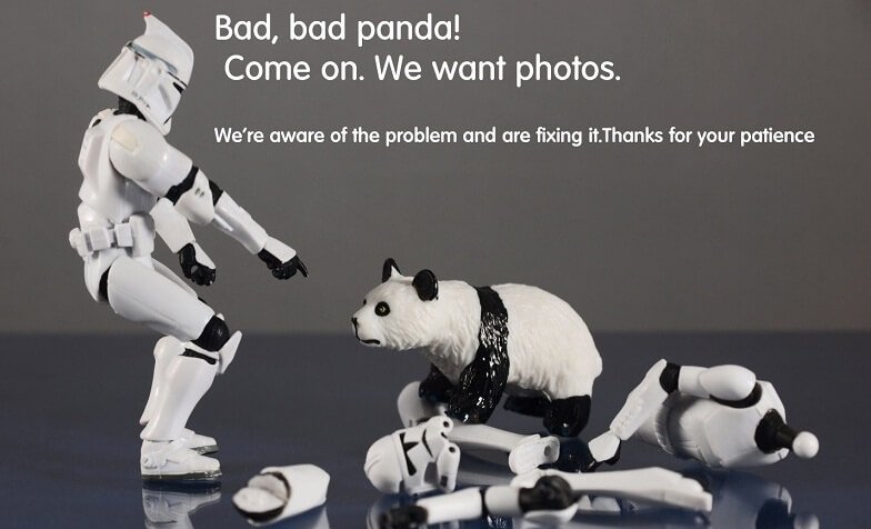 panda update
