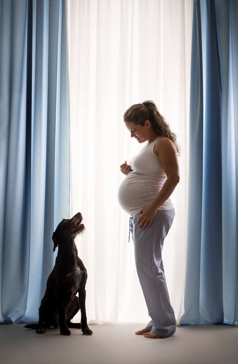 Kvinne med gravid mage og hund foran lyst gardin, morsomt og hengiven gravidfotografering, gravidfoto, mammarolle og kjæledyr, unike og minnerike gravidbilder, blomster og familie forberedelse.