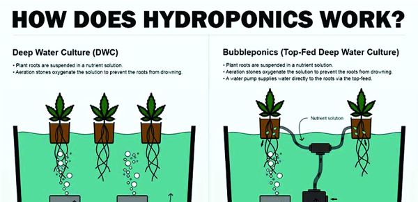 bubbleponics bubbleponics