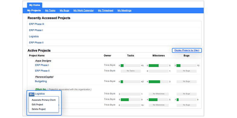 zoho project