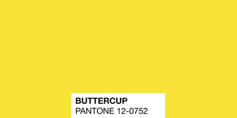 Buttercup 12-0752