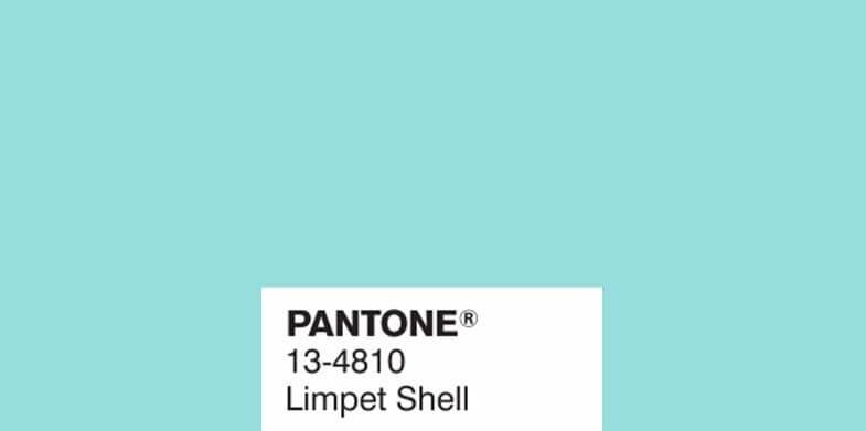 Limpet Shell 13-4810