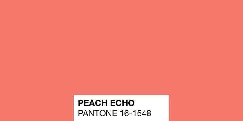 Peach Echo 13-1520