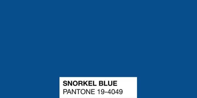 Snorkel Blue 19-4049