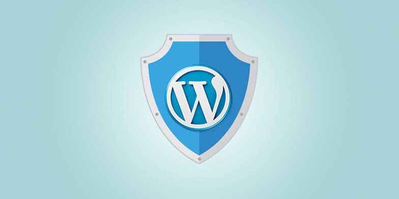 7-Excellent-Ways-to-Secure-your-Wordpress-Blog-785X391