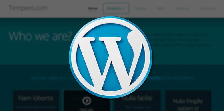 6WordPresstipstogetyourwebsiteupandrunningquicklyandsmoothly-785X391