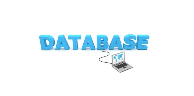 database